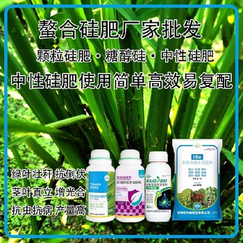 糖醇硅顆粒硅肥水稻硅肥哪里賣,為峰肥業(yè)廠家招商