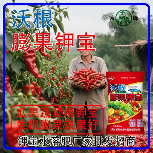 增甜著色鉀寶沖施肥鉀寶沖施肥,為峰肥業(yè)鉀寶招商