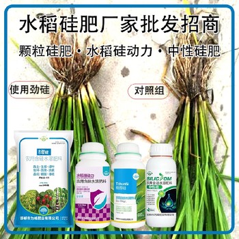 糖醇硅顆粒硅肥水稻硅肥哪里賣,為峰肥業(yè)廠家招商