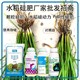 勁硅液體硅肥水稻硅肥圖