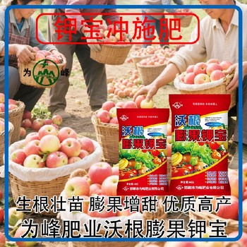 增甜著色沃根膨果鉀寶鉀寶用法用量,為峰肥業(yè)鉀寶招商