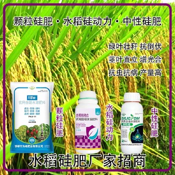 勁硅高純度水稻硅肥銷售經(jīng)理,生產(chǎn)廠家批發(fā)