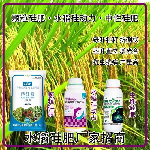 勁硅顆粒硅肥水稻硅肥水溶肥,為峰肥業(yè)廠家招商