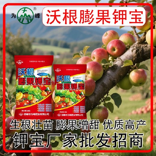 高鵬高鈣鉀寶沖施肥鉀寶經(jīng)銷商,為峰肥業(yè)鉀寶招商