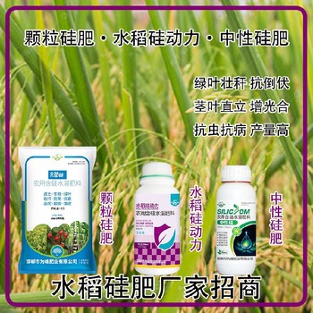 糖醇硅液體硅肥水稻硅肥貼牌加工,為峰肥業(yè)廠家招商