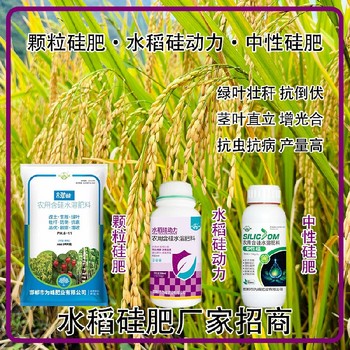 糖醇硅顆粒硅肥水稻硅肥哪里賣,為峰肥業(yè)廠家招商