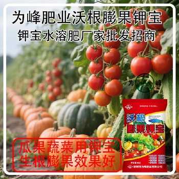 膨果肥钾宝冲施肥钾宝水溶肥,钾宝厂家招商电话