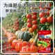 膨果防裂美國(guó)鉀寶圖