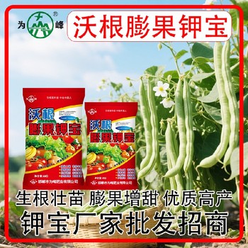 增甜著色膨果鉀寶鉀寶哪里賣,鉀寶廠家招商電話