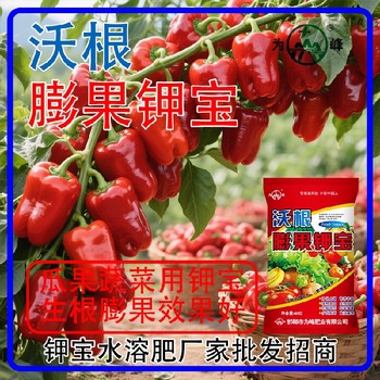 增甜著色鉀寶水溶肥鉀寶什么時間用,鉀寶廠家招商電話