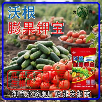膨果肥美國鉀寶鉀寶什么時間用,為峰肥業(yè)鉀寶招商