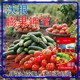 鉀寶水溶肥圖