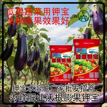 為峰肥業(yè)美國(guó)鉀寶鉀寶貼牌加工,為峰肥業(yè)鉀寶招商
