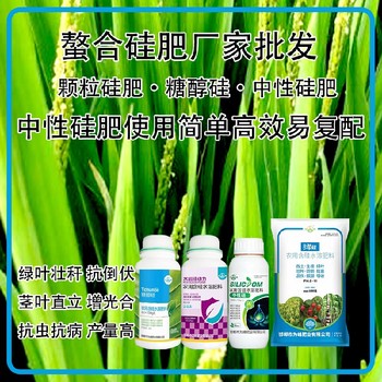 糖醇硅顆粒硅肥水稻硅肥哪里賣,為峰肥業(yè)廠家招商