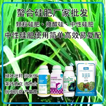 糖醇硅顆粒硅肥水稻硅肥經(jīng)銷商,為峰肥業(yè)廠家招商