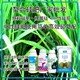 水稻硅肥用法用量圖