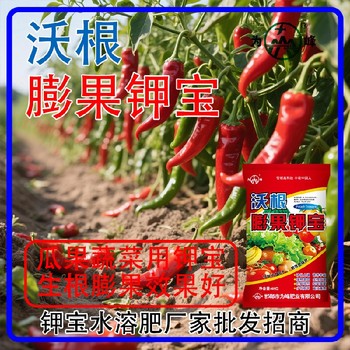 高鵬高鈣美國鉀寶鉀寶好不好,鉀寶廠家招商電話