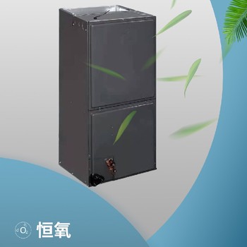 承德別墅ruud路德五恒全空氣空調(diào)系統(tǒng)