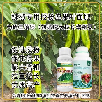花芽分化菜椒葉面肥定做,為峰肥業(yè)廠(chǎng)家