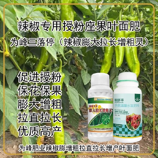 促進(jìn)授粉菜椒葉面肥定做,為峰肥業(yè)廠(chǎng)家