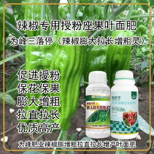 ?；ū９苯放虼罄L(cháng)增粗靈葉面肥批發(fā),辣椒增產(chǎn)液