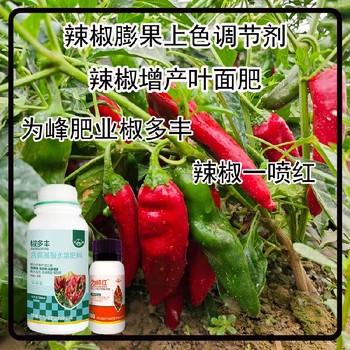 生根壯苗菜椒葉面肥價(jià)格辣椒葉面肥廠家批發(fā)