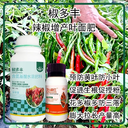 膨大拉長線椒葉面肥廠家電話為峰肥業(yè)辣椒葉面肥