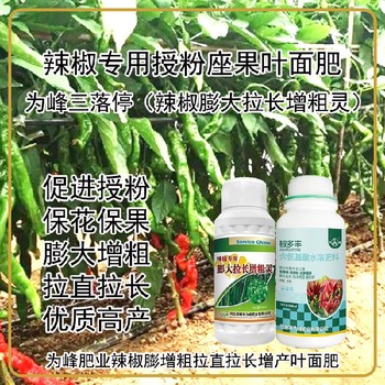增粗增產(chǎn)辣椒膨大拉長增粗靈葉面肥招商,為峰肥業(yè)廠家