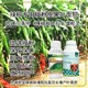 促進(jìn)授粉菜椒葉面肥定做,為峰肥業(yè)廠(chǎng)家產(chǎn)品圖