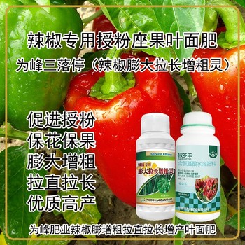 增粗增產(chǎn)辣椒膨大拉長增粗靈葉面肥招商,為峰肥業(yè)廠家