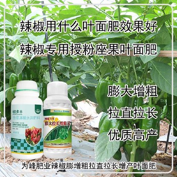 生根壯苗辣椒膨大拉長素葉面肥什么時間用,辣椒增產(chǎn)液