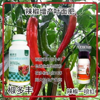 生根壯苗朝天椒葉面肥招商為峰肥業(yè)辣椒葉面肥