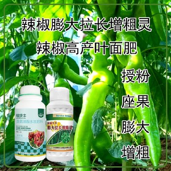 促进授粉菜椒叶面肥作用,为峰肥业厂家