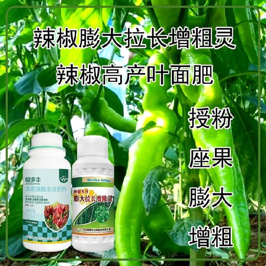 增粗增產(chǎn)辣椒膨大拉長(cháng)素葉面肥使用方法,為峰肥業(yè)廠(chǎng)家