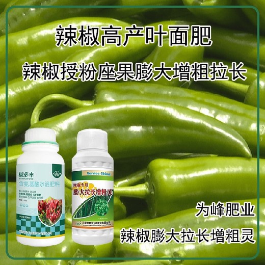 花芽分化圓椒葉面肥貼牌加工,為峰肥業(yè)廠(chǎng)家