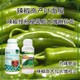 膨大拉長(cháng)辣椒三落停葉面肥貼牌加工圖