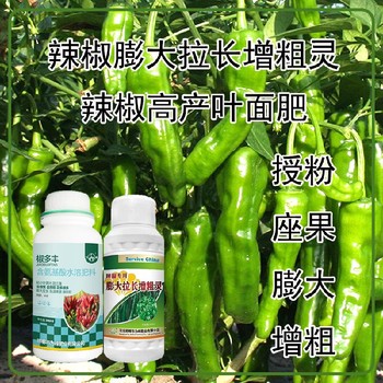 膨大拉長辣椒膨大拉長素葉面肥使用方法,辣椒增產(chǎn)液