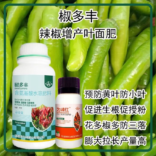 生根壯苗小米辣葉面肥用法用量為峰肥業(yè)辣椒葉面肥