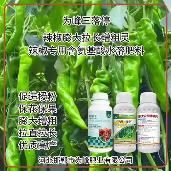 促進授粉辣椒膨大拉長增粗靈葉面肥價格,為峰肥業(yè)廠家