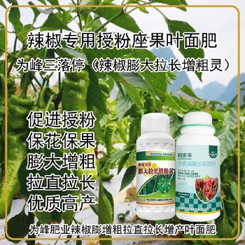 膨大拉長辣椒膨大拉長素葉面肥使用方法,辣椒增產(chǎn)液