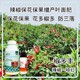 增粗增產(chǎn)線椒葉面肥哪里賣圖