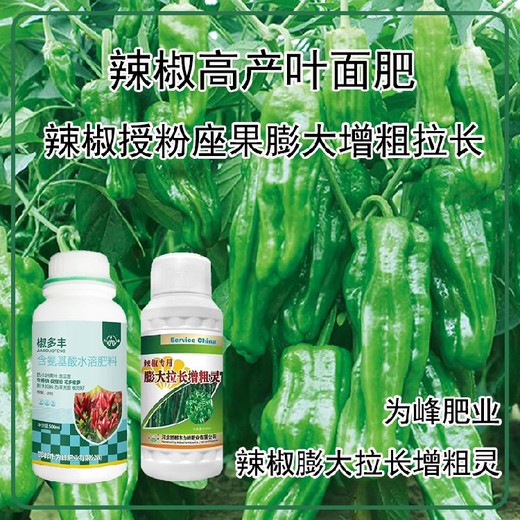 花芽分化辣椒葉面肥貼牌,辣椒增產(chǎn)液