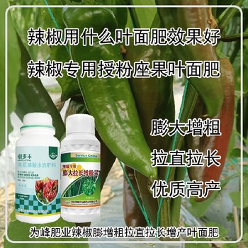 增粗增產(chǎn)辣椒膨大拉長增粗靈葉面肥招商,為峰肥業(yè)廠家