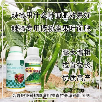 膨大拉長圓椒葉面肥廠家電話,辣椒增產(chǎn)液