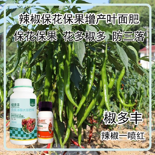 花芽分化朝天椒葉面肥定做辣椒葉面肥廠家批發(fā)
