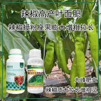 生根壯苗青椒葉面肥價格,為峰肥業廠家