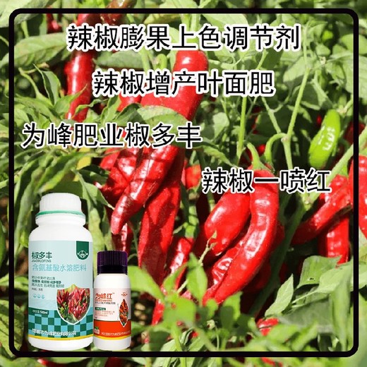 增粗增產(chǎn)朝天椒葉面肥定做包裝為峰肥業(yè)辣椒葉面肥