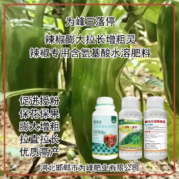 生根壯苗青椒葉面肥價格,為峰肥業廠家