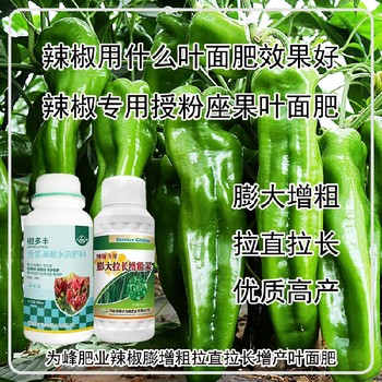生根壯苗青椒葉面肥價格,為峰肥業廠家