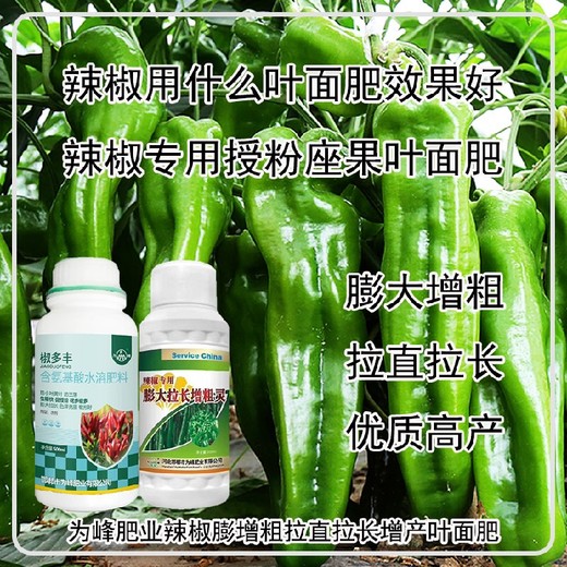 膨大拉長辣椒膨大拉長素葉面肥功效,為峰肥業(yè)廠家